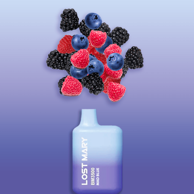 Lost Mary vs Elf Bar: What’s the Difference in 2025?