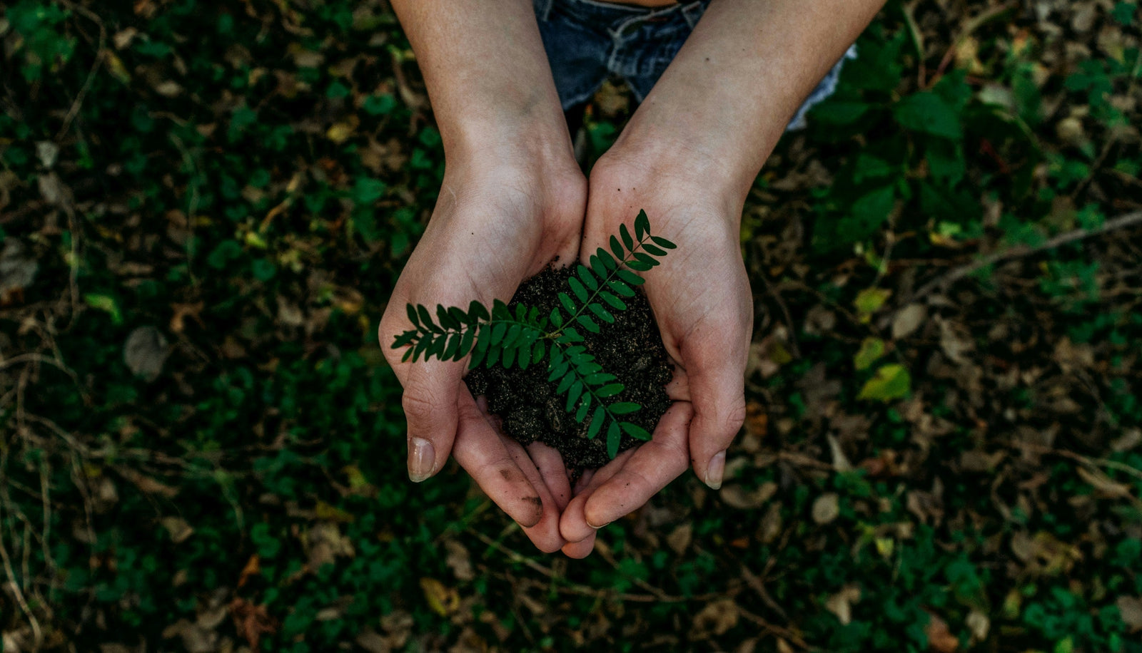 How to Recycle Your Disposable Vape Responsibly Vapeology How to Recycle Your Disposable Vape Responsibly Vapeology