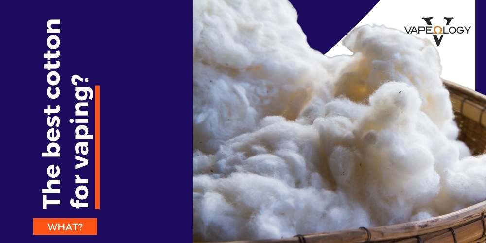 aromatisierte vape-optionen für ex-raucher Bubble Gum Gelato x Cotton Candy Breath • 2g Disposable Live Resin Vape by  BODEGA BOYZ | Buy Online | Treehouse Cannabis main image 0